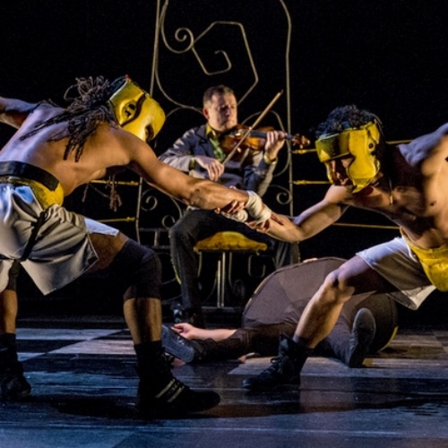 Image du spectacle Boxe Boxe Brasil