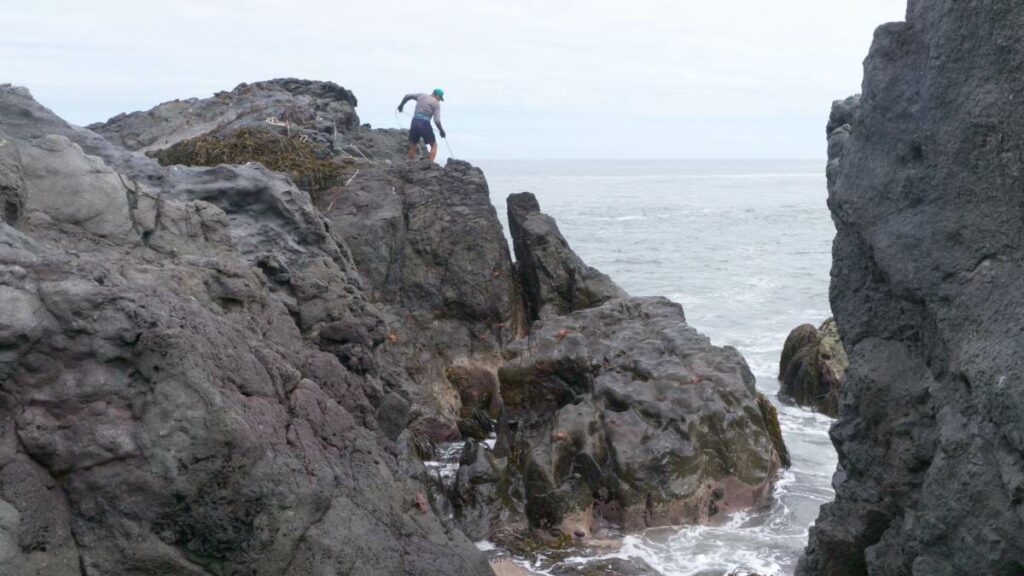 Image du film Les premiers jours