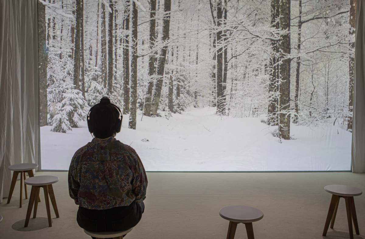 Image de l'exposition Silence