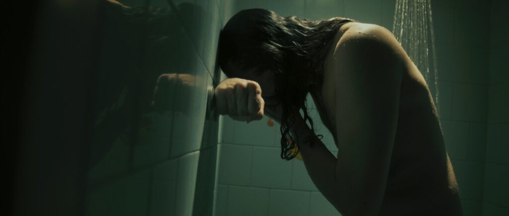 Image du film Accident Domestique