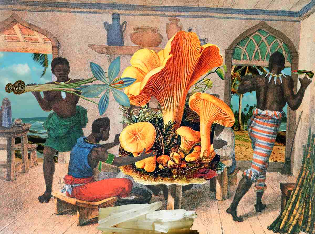 Gê Viana, Culture de champignons, de la série Actualisation traumatiques de Debret, 2000