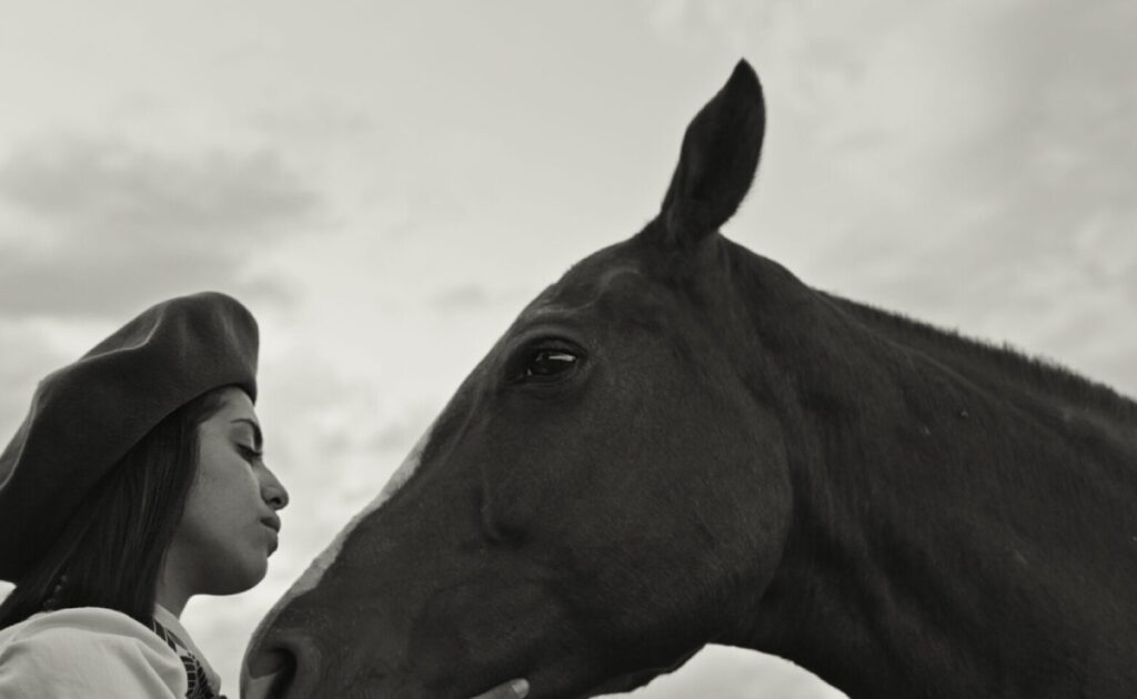 Image du film Les cavaliers des terres sauvages